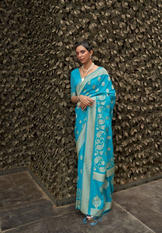 Picture of Shapely Nylon Chiffon Blue Saree