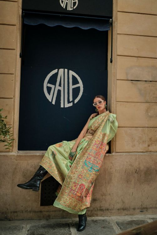 Picture of Beautiful Kashmiri Silk Light Green Saree