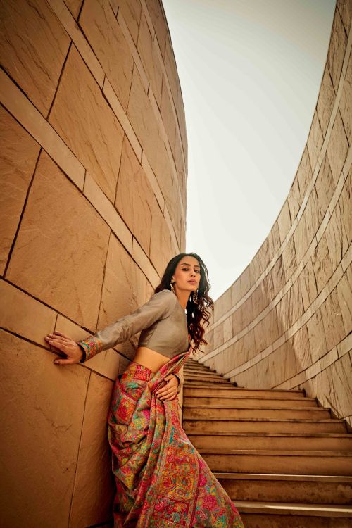 Picture of Pleasing Kashmiri Handloom Weaving Light Brown Saree