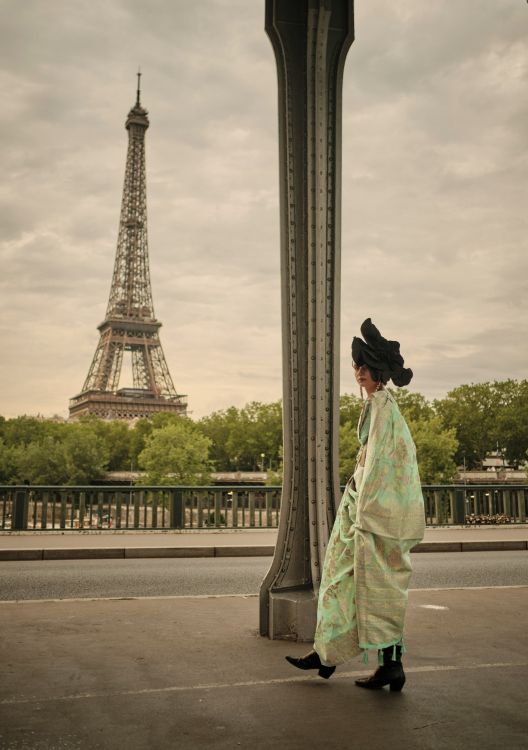 Picture of Beautiful Organza Light Green Saree
