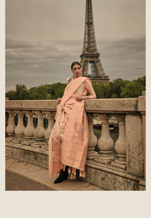 Picture of Charming Organza Multi Saree