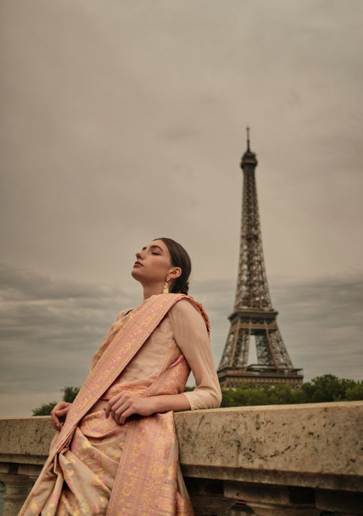 Picture of Charming Organza Multi Saree