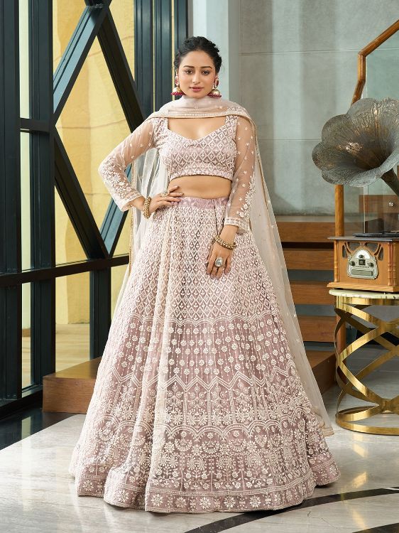 Picture of Amazing Net Beige Lehenga Choli