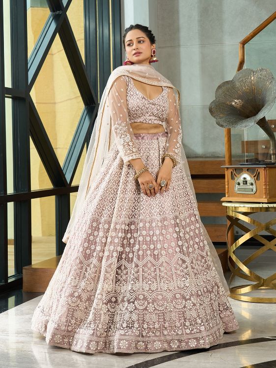 Picture of Amazing Net Beige Lehenga Choli