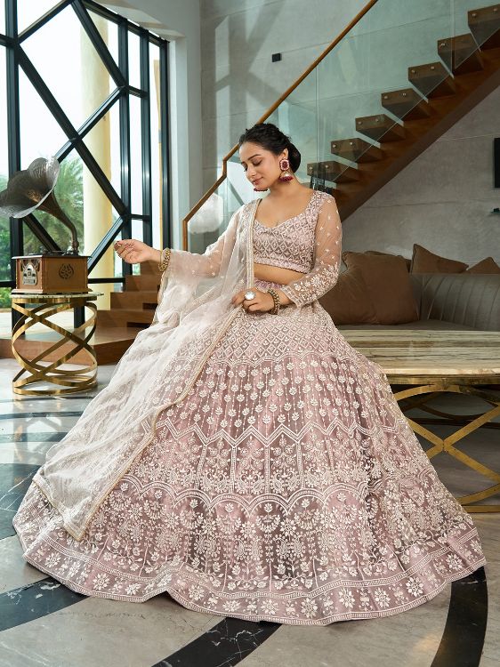 Picture of Amazing Net Beige Lehenga Choli