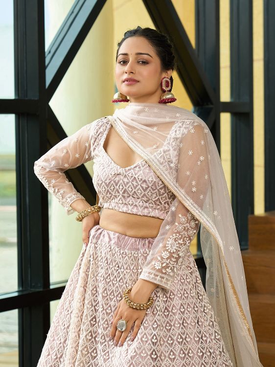 Picture of Amazing Net Beige Lehenga Choli