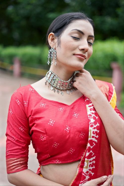 Picture of Nice Tussar Silk Multi Lehenga Choli